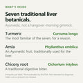 Hangover Strips — turmeric, amla and chicory root ingredients