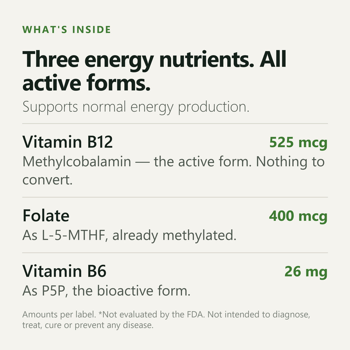 GLP-1 Support — three energy nutrients ingredients