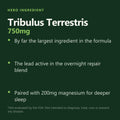 Alpha Energy — Tribulus Terrestris 750mg hero ingredient