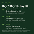 Men's Vitality — day 7, 14, 30 timeline