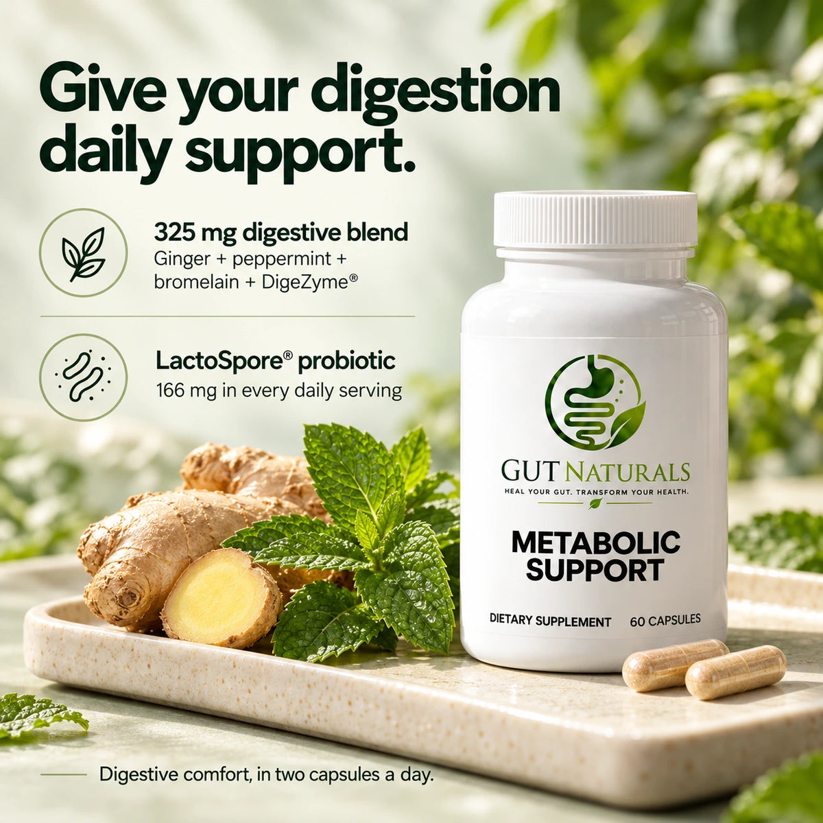 Metabolic Support