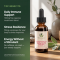 Adaptogen Immunity Drops top benefits