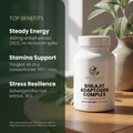 Shilajit Adaptogen Complex top benefits
