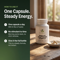 Shilajit Adaptogen Complex how to use