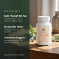 Gotu Kola Bacopa Clarity Complex top benefits